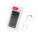 Fadvan 5D W Egípcio