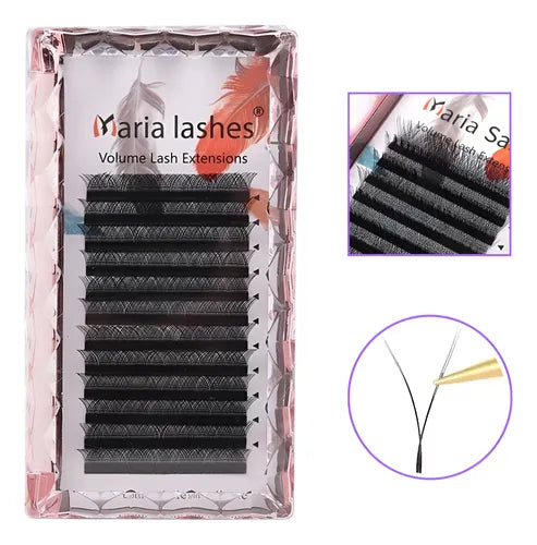 Maria Sasha Y FOX - M