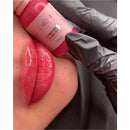 KIT DE LÁBIOS PIGMENTOS MENELA - 3ML