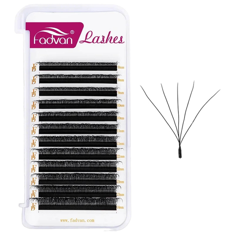 Fadvan 5D W Egípcio