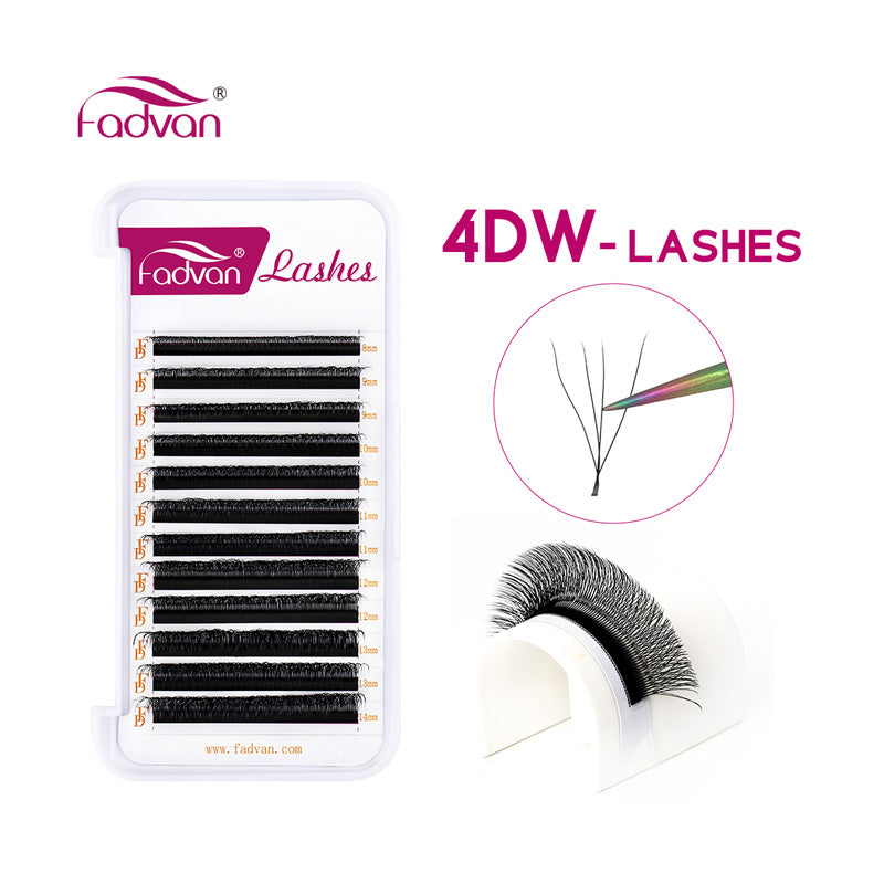 Fadvan 4D W Egípcio