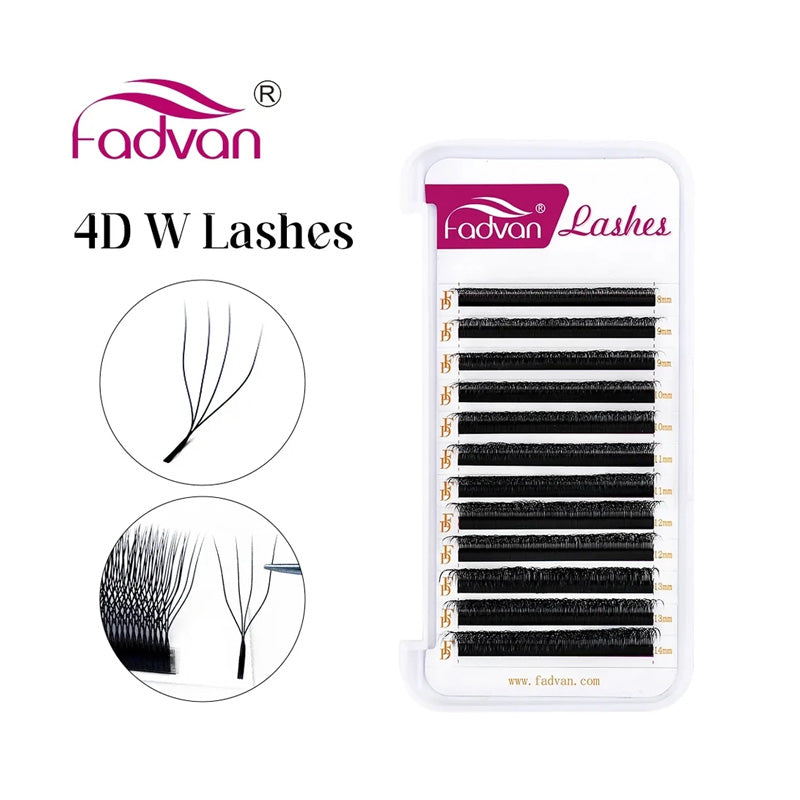 Fadvan 4D W Egípcio