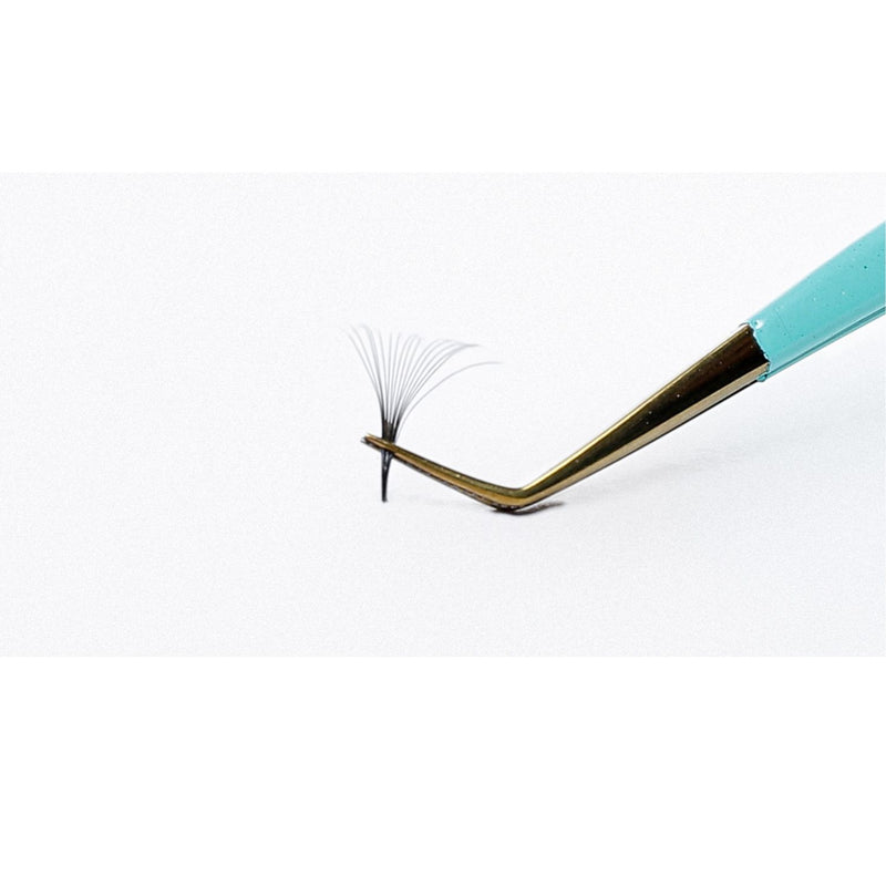 Tecno Fans 16D Volume Russo D 0.05 800 Fans Prontos - JD LASHES